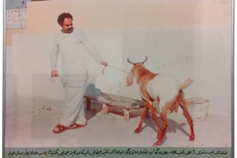 Rasheed Araeen